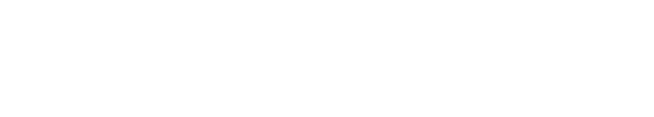 evisoles